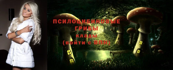 сатива Алексеевка