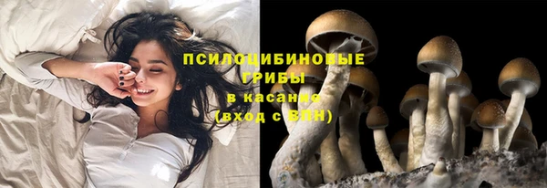 амф Абаза