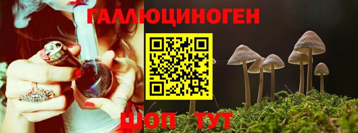 Галлюциногенные грибы Psilocybine cubensis  Вход с VPN  Галлюциногенные грибы прущие грибы  Топки 